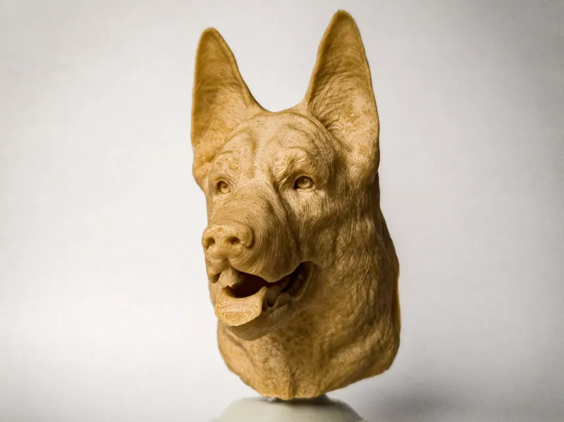 German Sheperd