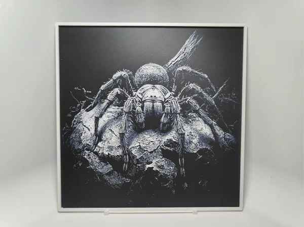 https://makerworld.bblmw.com/makerworld/model/US1f9835972d83db/design/2024-11-09_558f6e6089f79.jpg