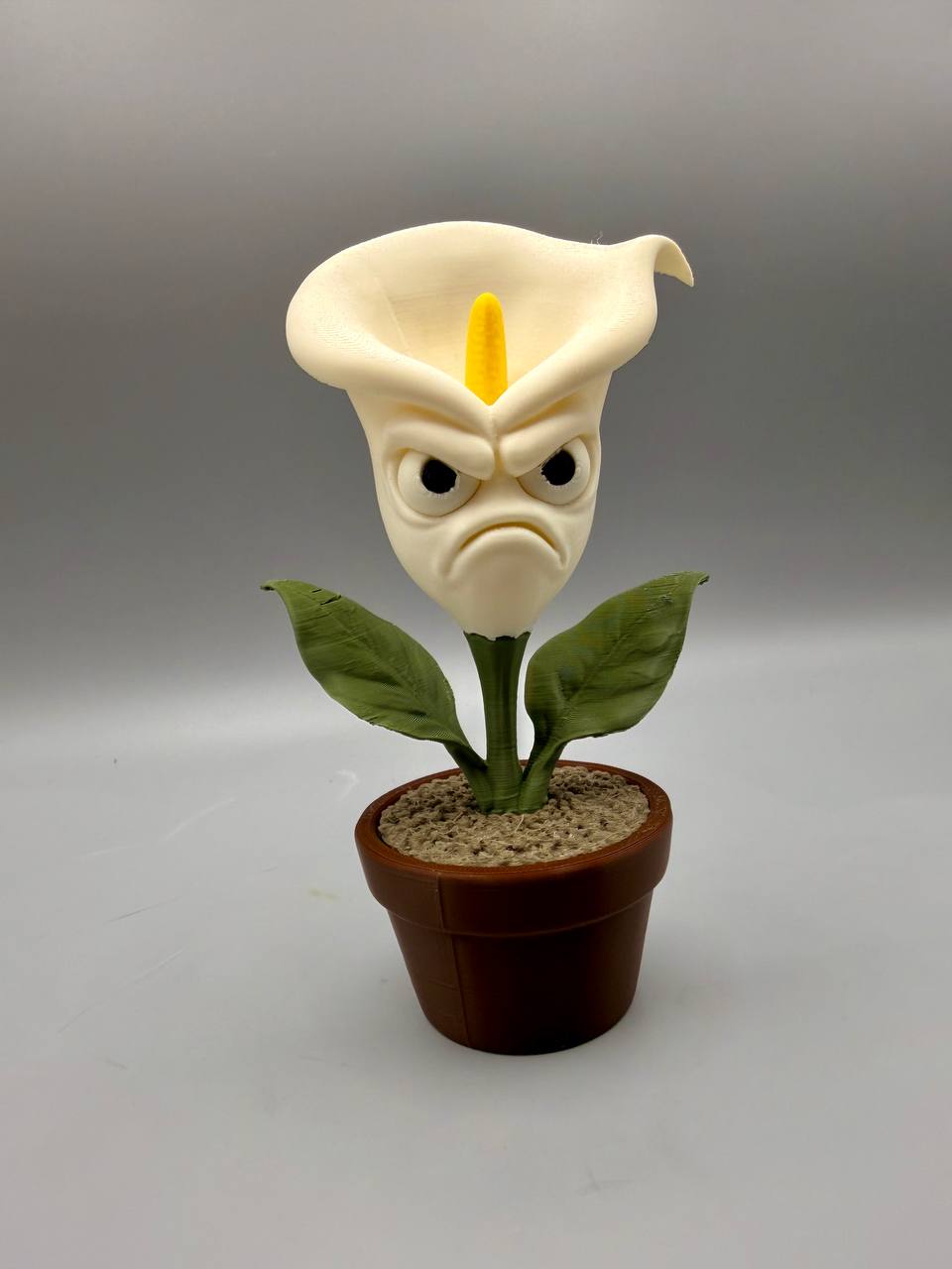 Grumpy Calla - 1