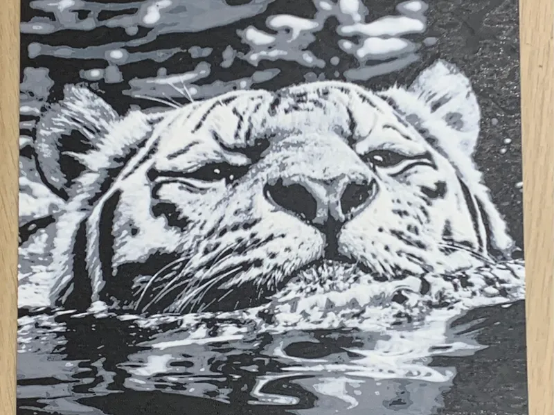 Tiger im Wasser