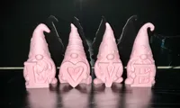 Gnomes LOVE — photo 2
