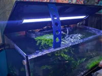 0.24mm layer, 3 walls, 15% infill