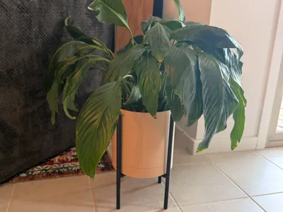 Elevate Planter