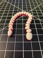 Medium Snake