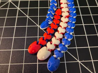 Multi Colored Snakes