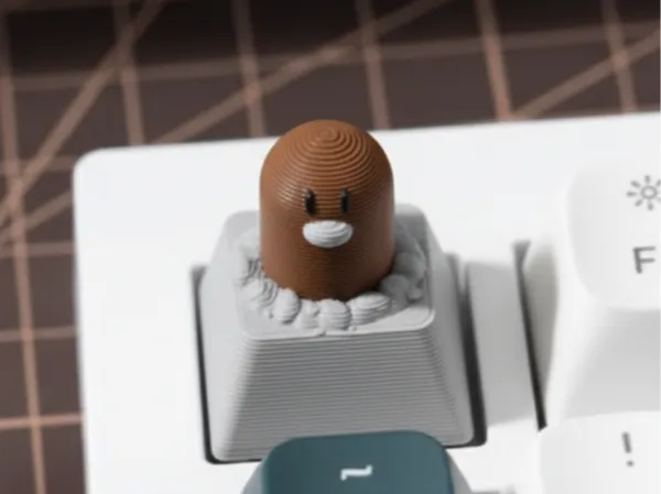 https://makerworld.bblmw.com/makerworld/model/US1fb576ded3813d/design/2025-10-24_f1d1d6861c1bc.png