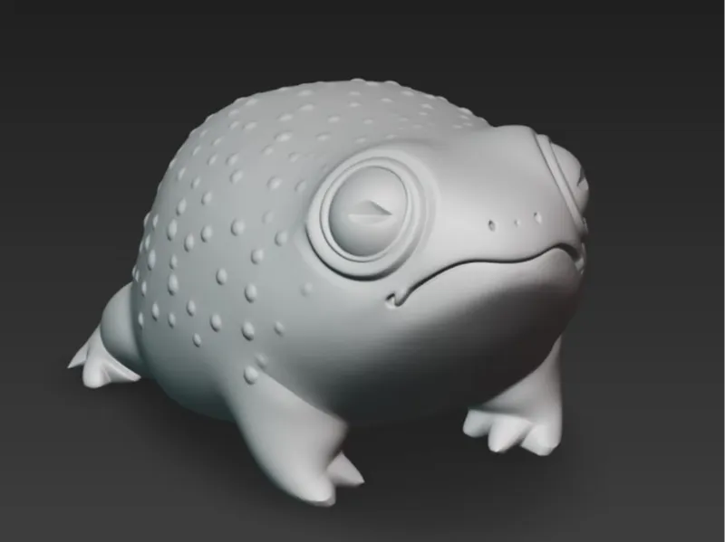 饅頭蛙 Common Rain Frog