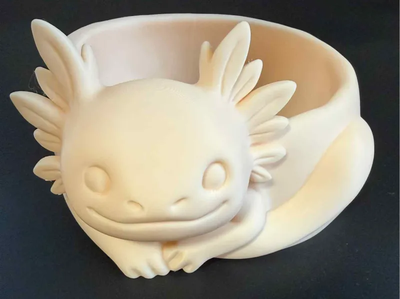 Axolotl Bowl Cute