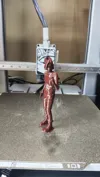 0.2mm layer, 3 walls, 5% infill