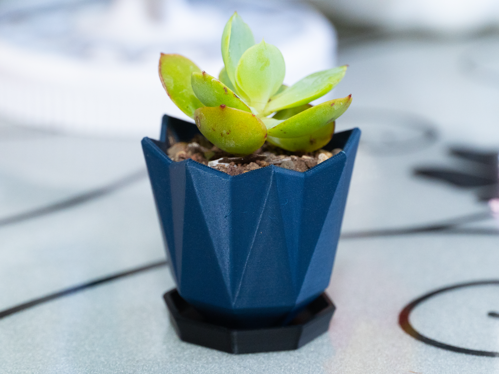 Miniatura 1 do modelo 3D 棱钻几何花盆