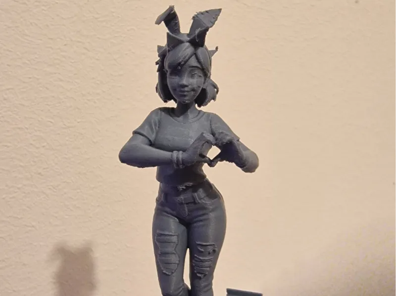 DVA bunny