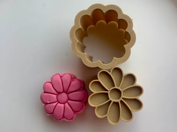 https://makerworld.bblmw.com/makerworld/model/US1fcce68471398f/design/886dd611b74b9cc3.jpeg
