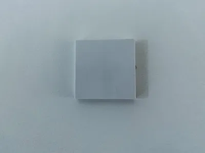 GIRA System 55 Standard Socket Cover 