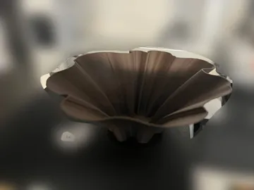 Jarrón decorativo: 11 Organic Bloom Vases Decor — vista de referencia 5