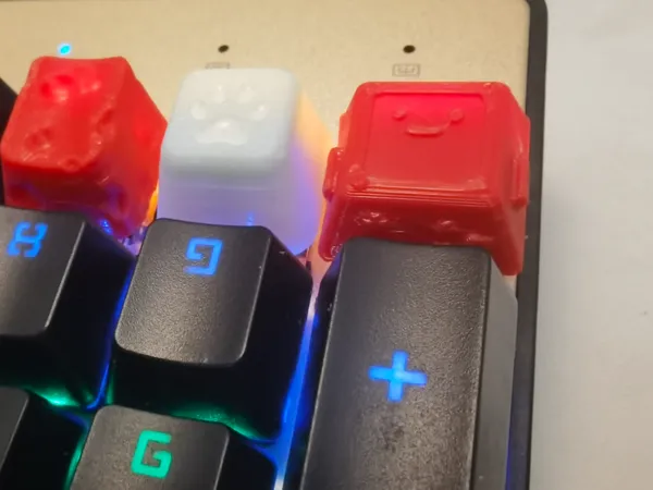 https://makerworld.bblmw.com/makerworld/model/US1fd64894834dd7/design/2024-07-09_ed8fee2613344.jpg