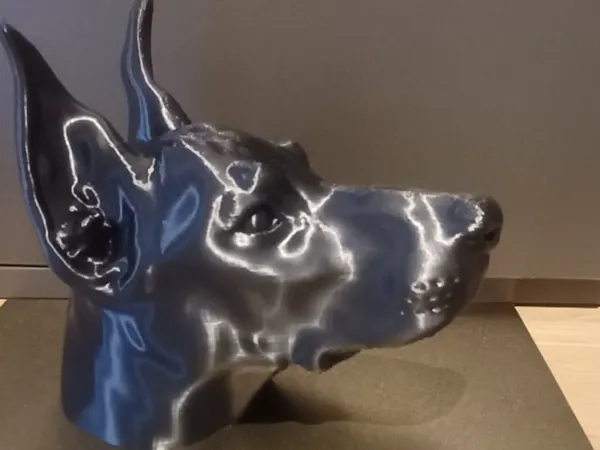 https://makerworld.bblmw.com/makerworld/model/US1fd7d7740503a3/design/2025-06-30_2333f50c04cb88.jpg