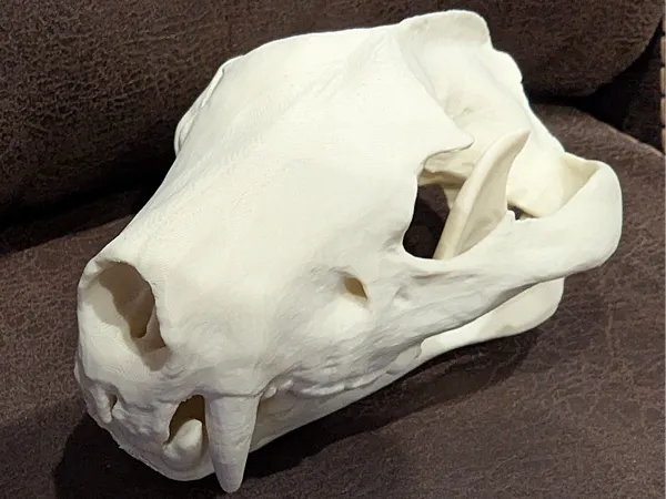 https://makerworld.bblmw.com/makerworld/model/US1fdec25d0c64c5/design/2025-08-28_bfda125ea7d518.jpg