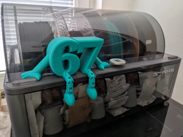 https://makerworld.bblmw.com/makerworld/model/US1fe1b6b9be2bdb/design/00f986f6955d1986.jpg