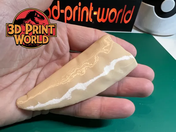 https://makerworld.bblmw.com/makerworld/model/US1fe29c69a58684/design/2025-01-03_b303f9b23e7b.png