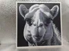 Camel_170x170_A1 Mini