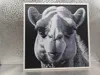 Camel_170x170_X1C