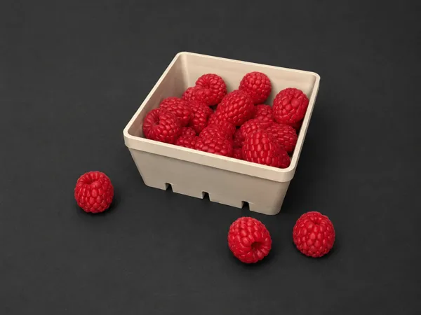 https://makerworld.bblmw.com/makerworld/model/US1fec2631d6f095/design/caae383d0079225f.png