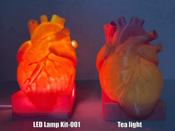 https://makerworld.bblmw.com/makerworld/model/US1fee4b0a87b538/design/2025-08-14_a2658865b7fb7.gif