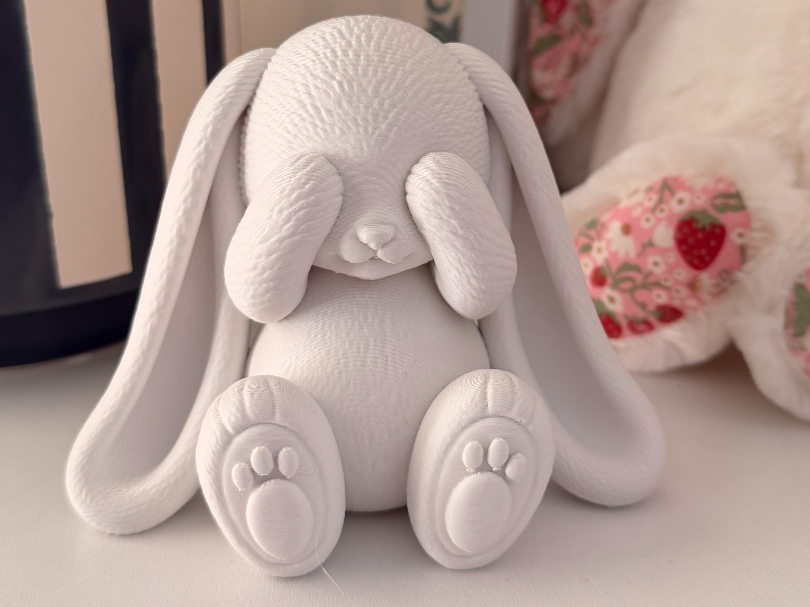 Peekaboo Bunny – Cute Nursery Decor - 1