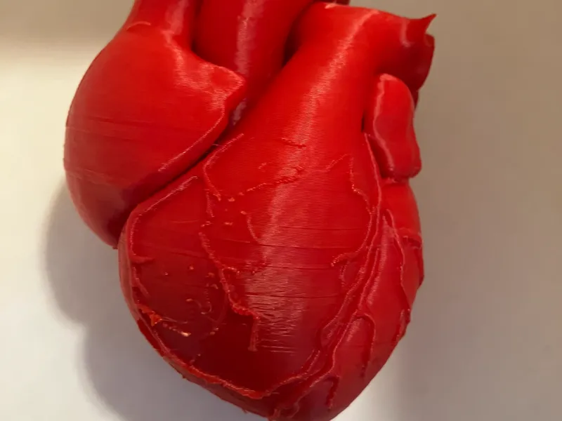 Anatomically incorrect heart