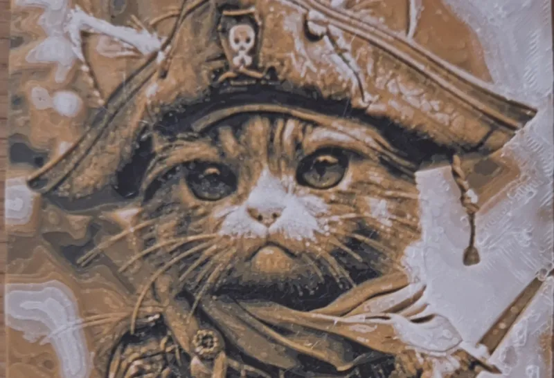 Hueforge cat pirate