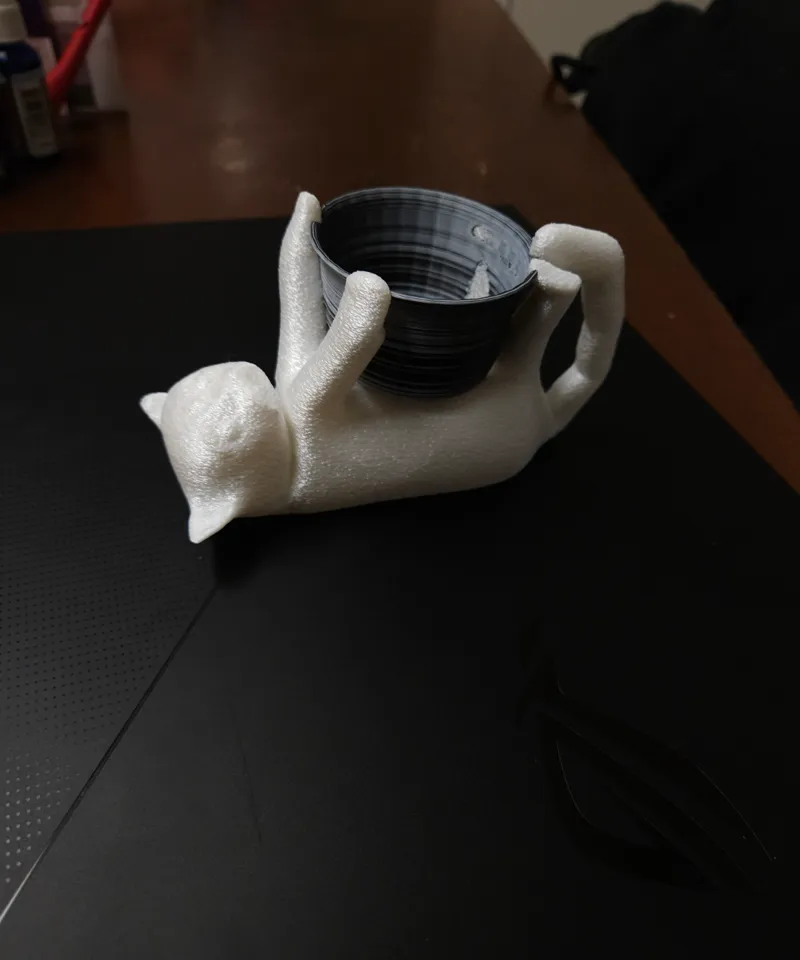 Cute Cat holding a Bowl