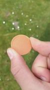 0.16mm layer, 2 walls, 15% infill