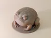 0.16mm layer, 2 walls, 15% infill