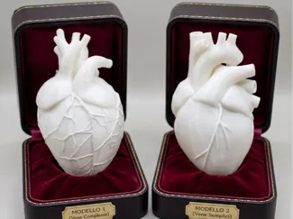 Realistic Hearts