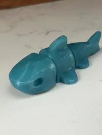 cute shark