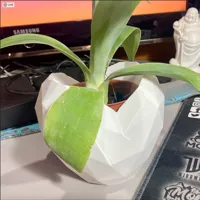 0.2mm layer, 2 walls, 10% infill