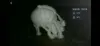 with supports - 0.12mm layer height, 2 walls, 15% infill