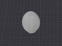 0.16mm layer, 2 walls, 15% infill