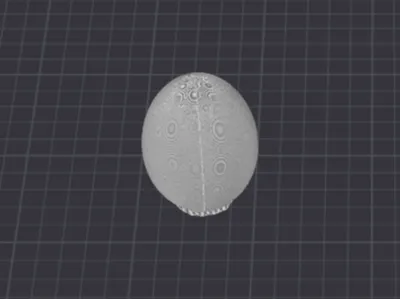 Printable Egg (Fits Bunny Holder / Kinder Size)