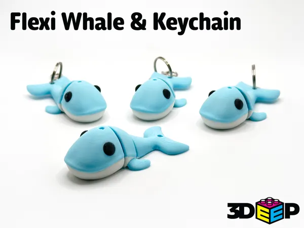 https://makerworld.bblmw.com/makerworld/model/US2025f6543f5427/design/2024-10-20_ab9b721216917.png