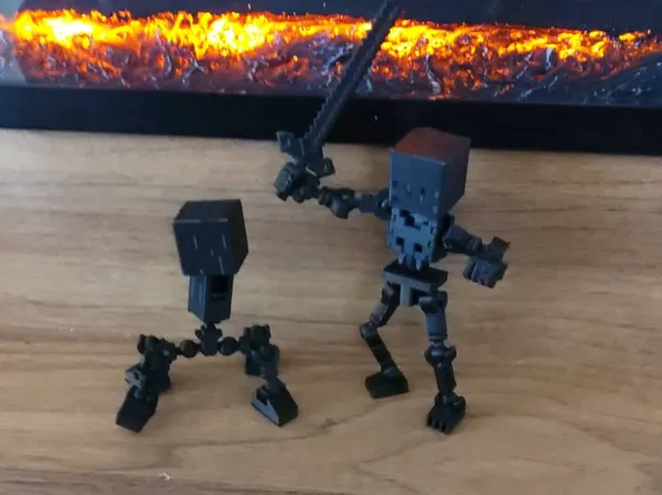 https://makerworld.bblmw.com/makerworld/model/US20277661c69c7f/design/2025-11-10_a3fa1675046548.jpeg