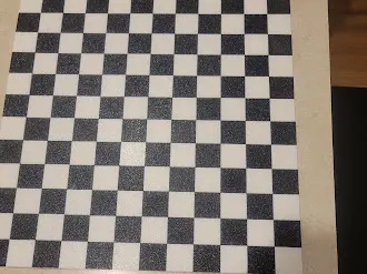1 square foot reference grid