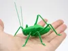 0.2mm layer, 2 walls, 30% infill
