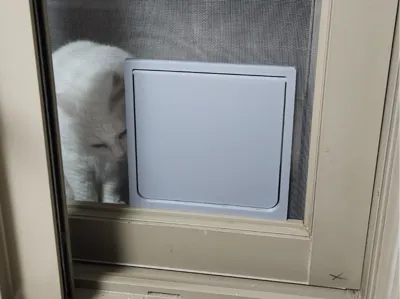 Cat Screendoor