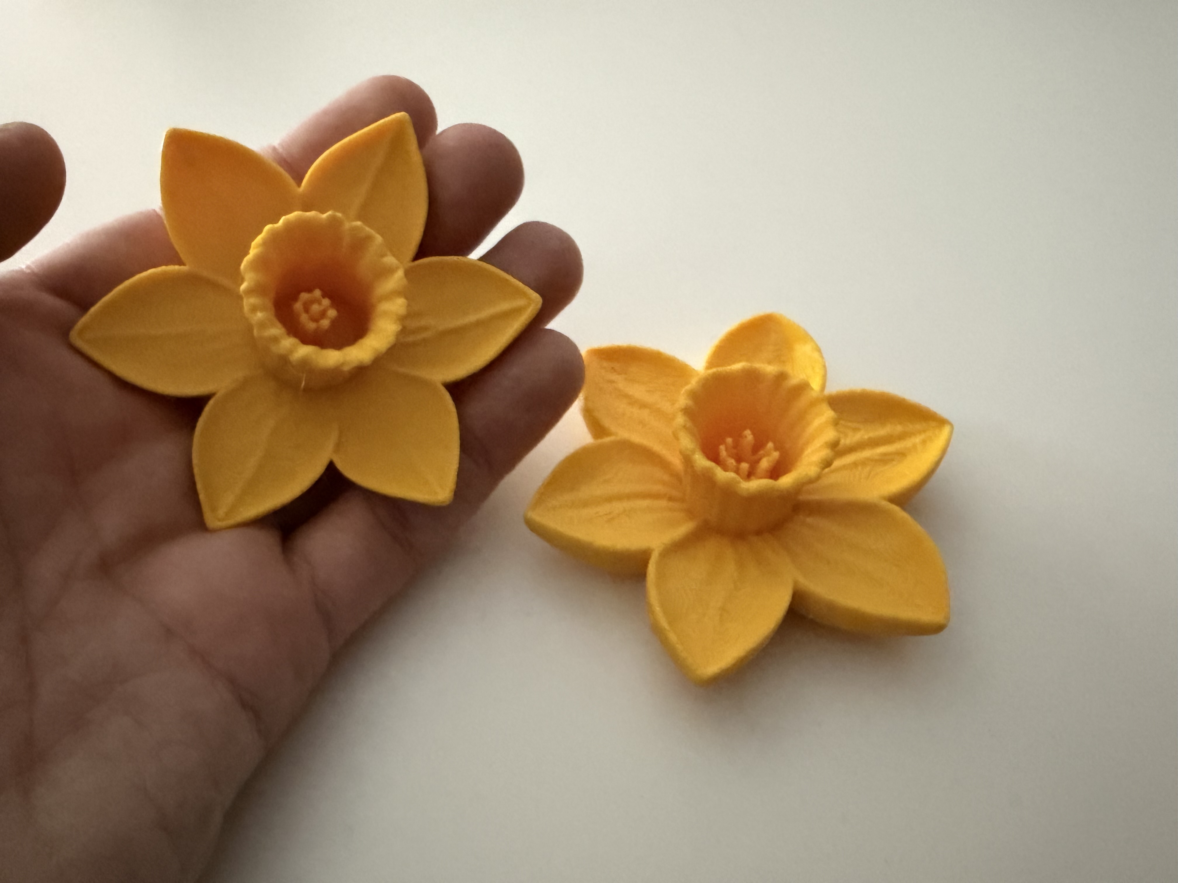 Miniatura 2 do modelo 3D Daffodil Flower