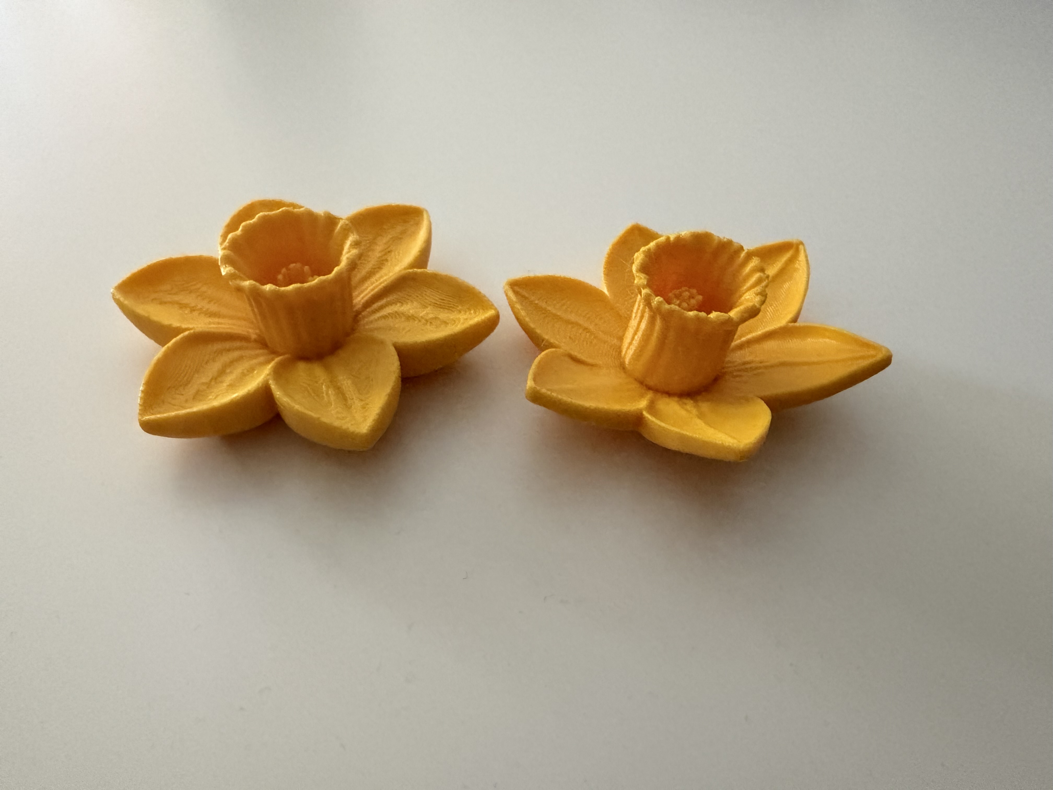 Miniatura 3 do modelo 3D Daffodil Flower
