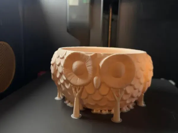 Bol hibou