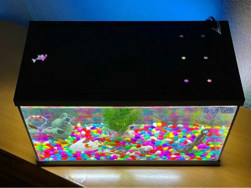 Aquarium lid