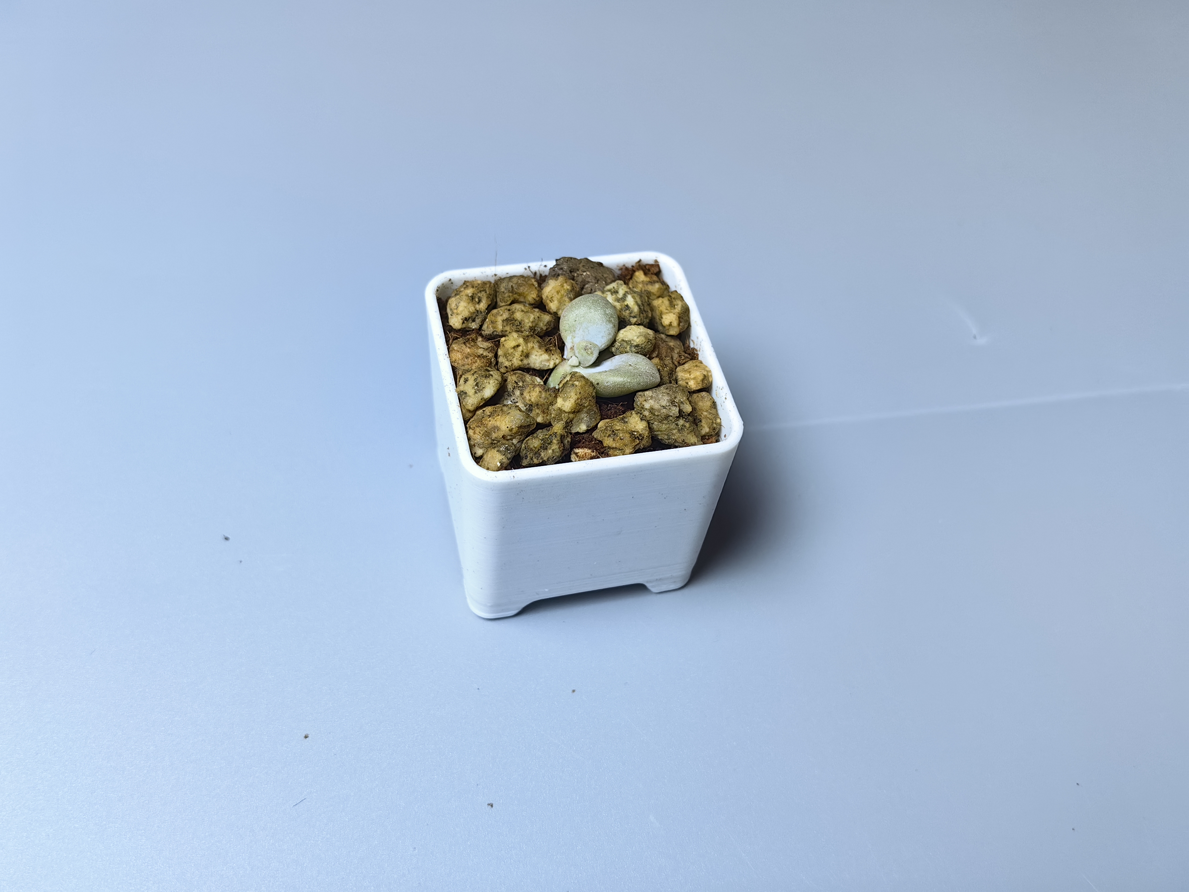 Miniatura 2 do modelo 3D 简约控养小方盆