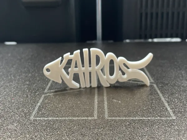 https://makerworld.bblmw.com/makerworld/model/US2040c98b1e3ff9/design/846724006173dcb8.jpeg